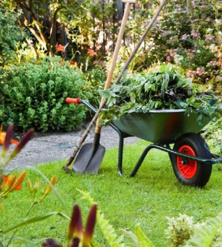 tuinonderhoud tuinonderhoud